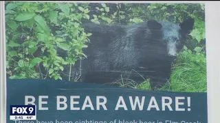 Bears spotted in Maple Grove I KMSP FOX 9