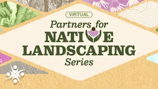 Native Plant Gardens Bring Pollinators