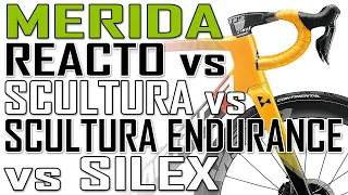 MERIDA REACTO vs SCULTURA vs SCULTURA ENDURANCE vs SILEX | BIKOTIC