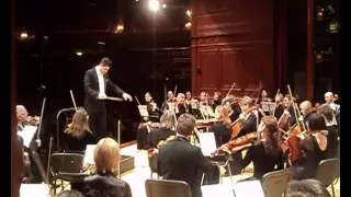 Beethoven Symphony 5 mov.1  /  Бетховен симфония 5 часть 1.