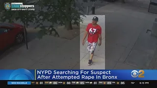 NYPD Searching For Suspect After Attempted Rape In The Bronx