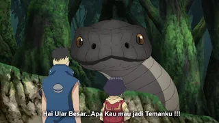 Boruto Episode 262 - Misi petualangan Himawari dan Kawaki mencari 7 keajaiban