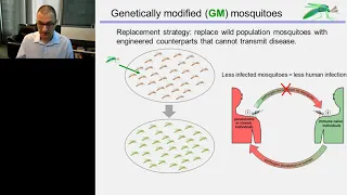 CRISPR/Cas9 technology and insect population control