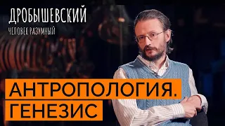 Как возникла антропология? // Дробышевский. Человек разумный