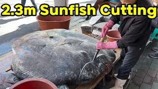 1.5T Incredible Giant Sunfish Cutting Skill Korean street food jukdo market pohang korea