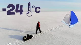 Окунь на мотыля в палатке в сильный мороз на Чудском озере