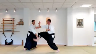 Aikido Irimi moves against kicks and punches