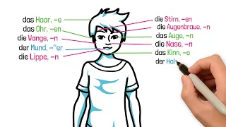 🧍 Körper und Körperteile Wortschatz | The Body Parts | Deutsch lernen | Learn German