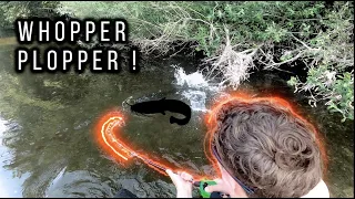 Je pêche des SILURES au WHOPPER PLOPPER !!