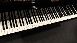 Self Playing Grand Piano - Steinway