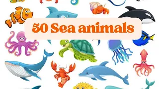 Sea animals for kids/50 Sea animals/list of Sea animals in English