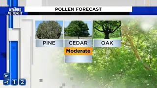 Warm weekend with plumes of pollen