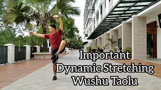 Important Dynamic Stretching Exercises - Wushu Taolu