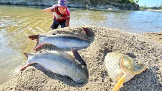 Wow Really Smart Hand Fishing In River Dry Place Underground Fish Catching | How it possible fishing