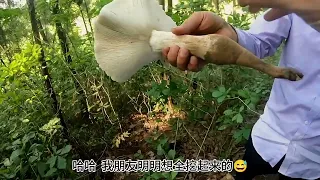 在四川又到了捡野生菌的季节了，500一斤的鸡枞菌，今天居然遇见两朵比我脸还大的#分享 #山里生活