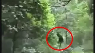 Sasquatch Caught On Tape 2015