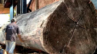 Black Teak Wood Sawmill Full of Beauty || Hardwood