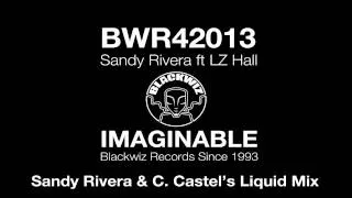 Sandy Rivera ft LZ Hall - IMAGINABLE - Sandy Rivera & C. Castel's Liquid Mix