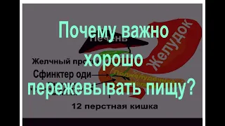 Почему важно хорошо пережевывать пищу?