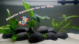 Building an Aquascape for my Wife