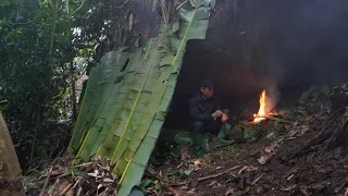 Forest Life - Forest Survival | Bushcraft leaf hut, thatched roof and 365 days in the forest