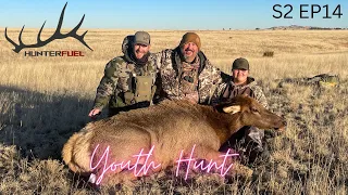 YOUTH COW ELK HUNT!!! AZ PUBLIC LAND!