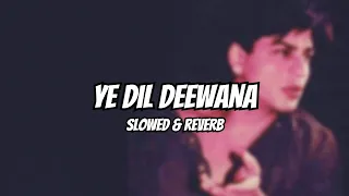 Ye Dil Deewana | Slowed & Reverb | Pardes