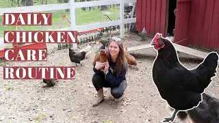 DAILY CHICKEN CARE ROUTINE | Raising Backyard Poultry | Hobby Farm Homestead | Egg Laying Hens