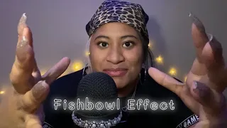 ASMR~ Fishbowl Effect w/ Inaudible Whispering