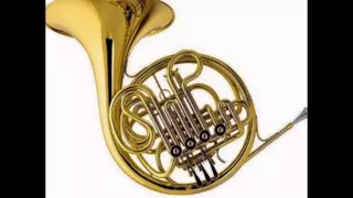 12 инструментов симфонического оркестра