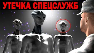 РЕЗУЛЬТАТЫ ПОИСКА РАЗУМНЫХ ЦИВИЛИЗАЦИЯ! УТЕЧКА СПЕЦСЛУЖБ!