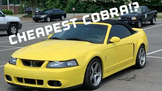 I bought a 2003 Cobra with 37000 ORIGINAL MILES!!!