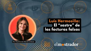 Luis Hermosilla: El "Sastre" de las facturas falsas - Paulina de Allende-Salazar