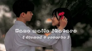 Hane Maile Jhataro ( slowed + reverbe ) Anju panta & Krishna Kafle || s l o  w e d music