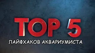 ТОП 5 ЛАЙФХАКОВ АКВАРИУМИСТА. Часть 4