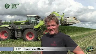 Oogsten van industriêle hennep 2023 met de ''Hemp Bull'' door Dun Agro Oude Pekela.