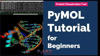 Protein Visualization Tool | PyMOL Tutorial for Beginners