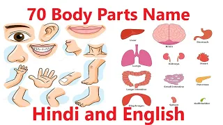 Human Body Parts Name with Pictures in Hindi and English |शरीर के अंगों के नाम हिंदी और अंग्रेजी में