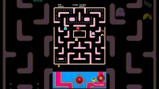 Ms. Pac-Man (Android) Level 256 (1.0.2)
