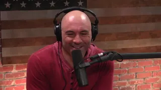 Joe Rogan - Scary Spearfishing Stories