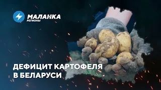 Гниёт урожай в Беларуси / Суд за наёмничество / Тренировки народного ополчения