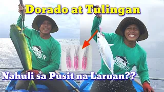 Laot2 part5  Dorado at Tulingan nahuli Lang sa Pusit na laruan??