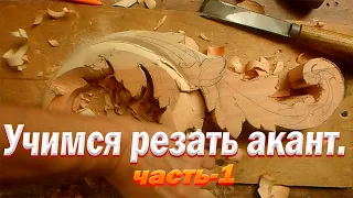 Первые шаги в резьбе по дереву. Резьба аканта.