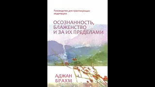 Аджан Брахм — Осознанность, блаженство и за их пределами ч.2 (аудиокнига) Буддизм Тхеравада