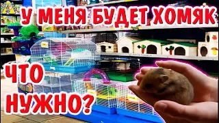 ЧТО НУЖНО ДЛЯ ХОМЯКА? У МЕНЯ БУДЕТ ХОМЯК! ЧТО НУЖНО ДЛЯ ПОЯВЛЕНИЯ ХОМЯКА / КУПИТЬ ХОМЯКУ? /АЛИСА ИЗИ