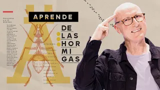 Aprende de las hormigas - Andrés Corson | Prédicas Cristianas 2023