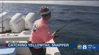 Reel Talk: Amanda goes fishing with George Poveromo for yellowtail snapper