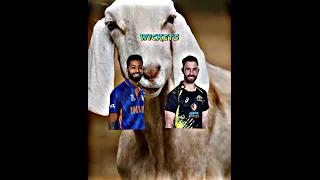 Hardik Pandya vs Glenn Maxwell (T20i Comparison)