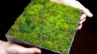 Making a Moss Garden from Scratch (Satisfying & Relaxing)