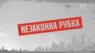 Незаконна рубка – Секретні матеріали